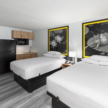 Super 8 By Wyndham Alexandria La Hotel Exterior photo